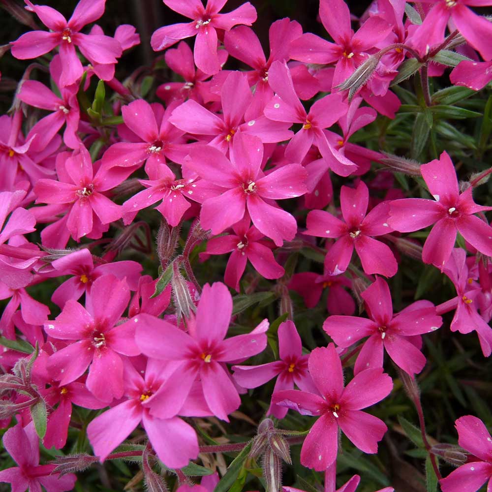 e5baff06683cd8f02a1eac3b83f7dc16