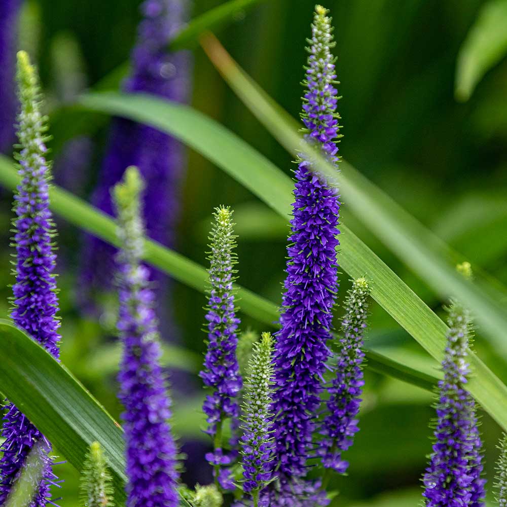 5419d6a4f4f60d6bb88c0619344e62b3