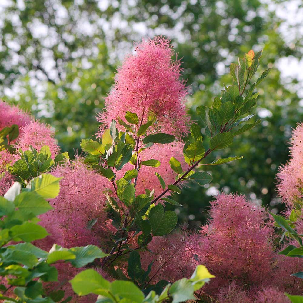 82d4e3d6047f52869f1e932d179c2eed