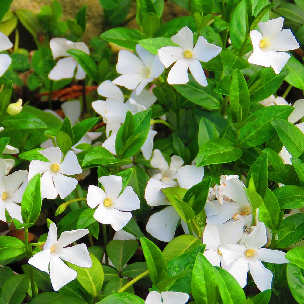 53ffdfe6af02520d096956d2eb8f03ec