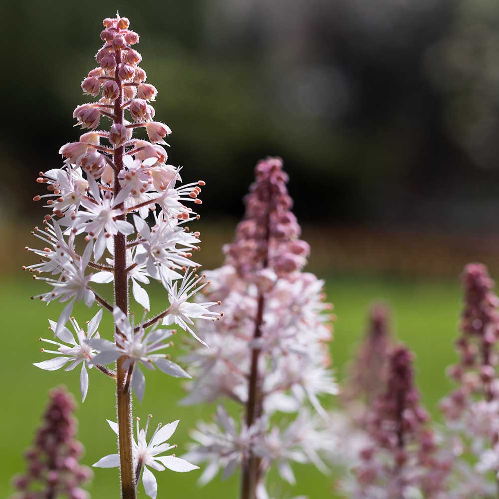 9af1455a9c0081f92c67d6f93127b15d