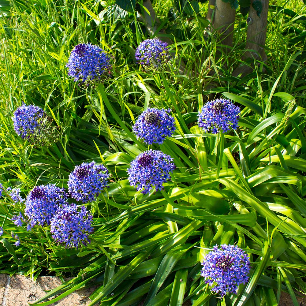 ebc46383377c47d223e167f35816edb7