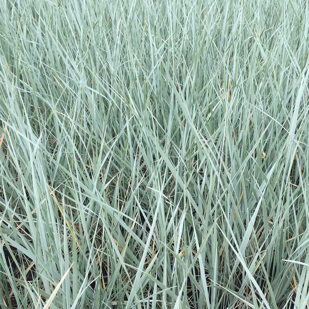 3fd787b79af3bd9b1cb1d87e73ce2648