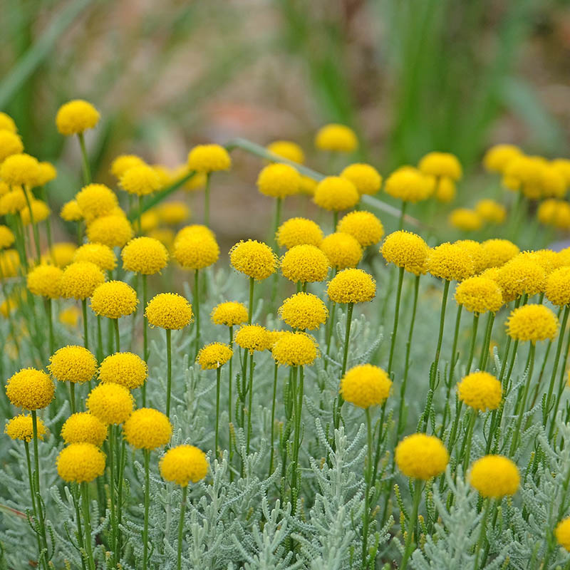 22c13ab661930b75ee5b907ceef3fb13