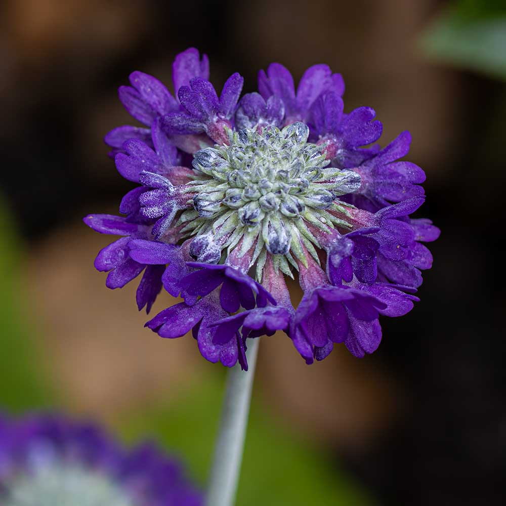 f20a954376cb1c311aa895f844b90a19