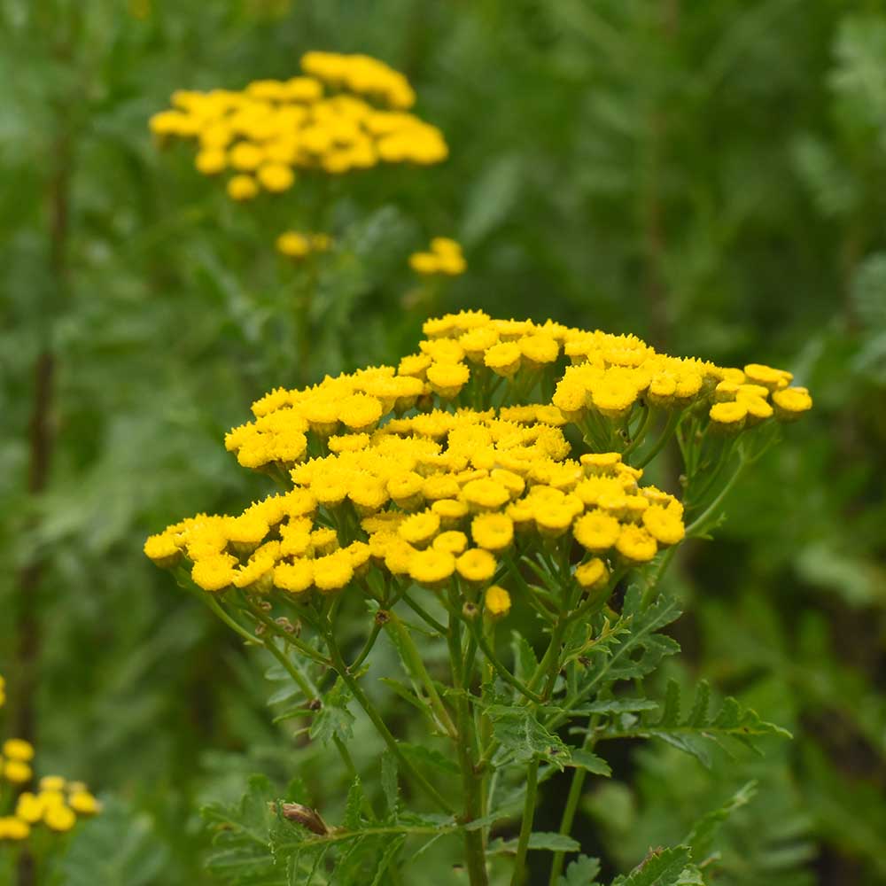 064557382fdb2453ef725294a6be122a