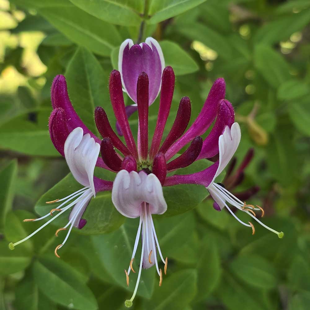 70fb70b52ff3f175b16ee5aa3e779793