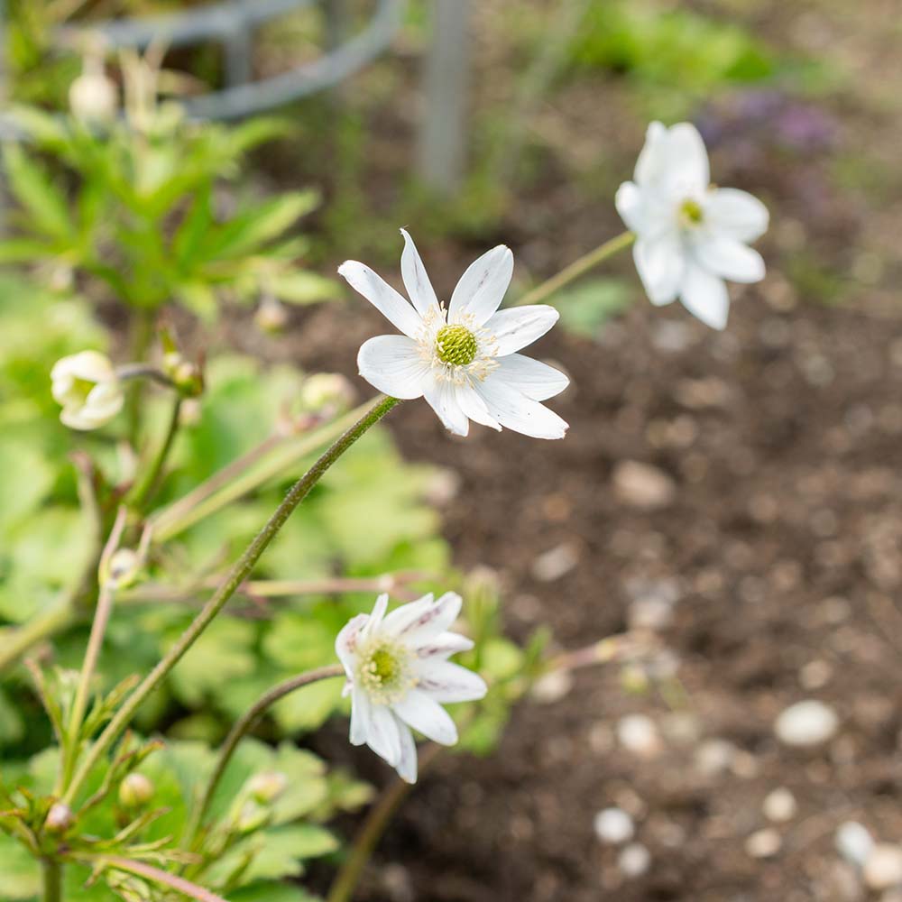 06bbf6d3a50dedeb595957156176da86