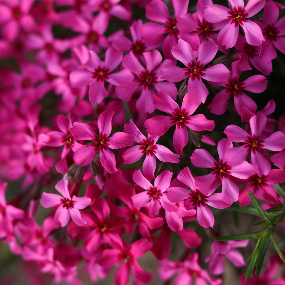 3d8c17e549df38036f7abdd0cd165062