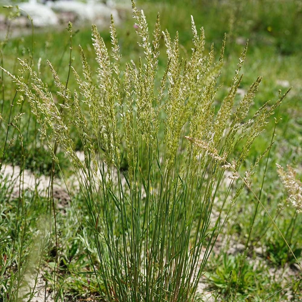 ad3aafa414f5c588cdcbeff3409f8adb