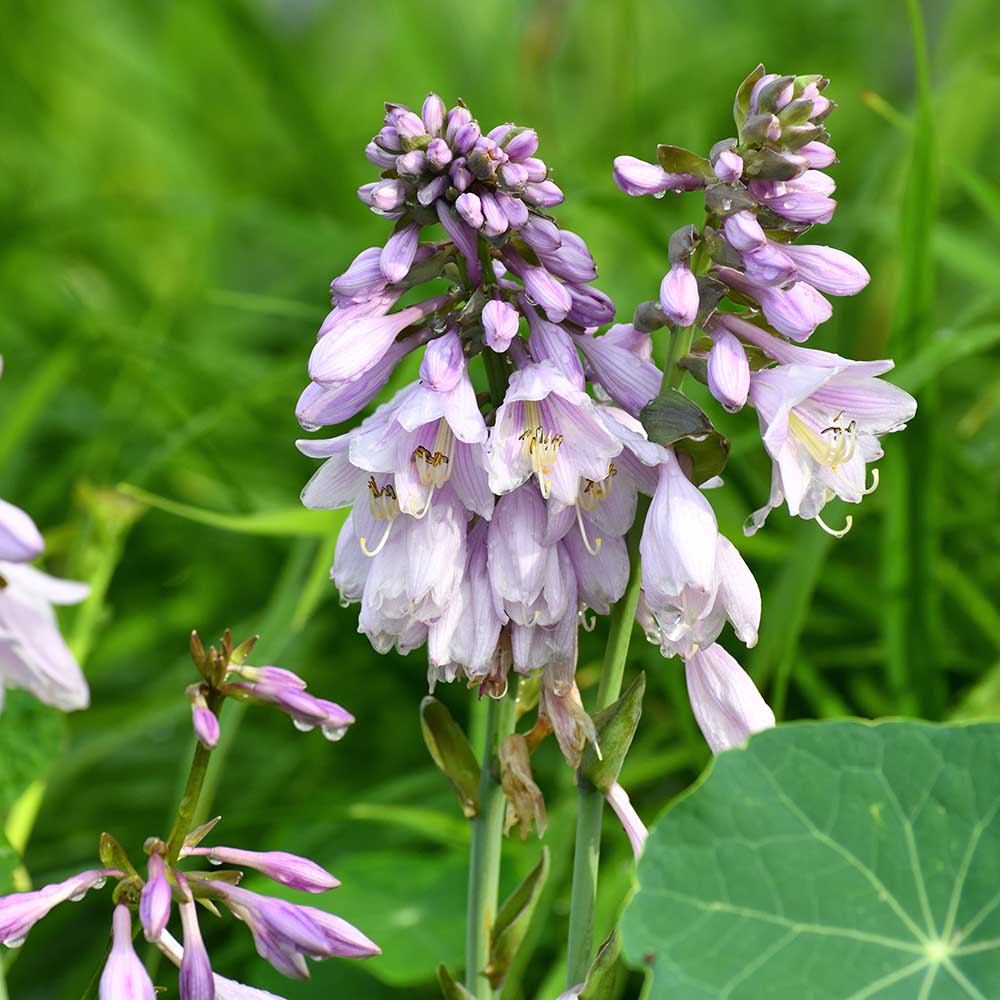 6e4e75eb60026286da002dc39f412a56