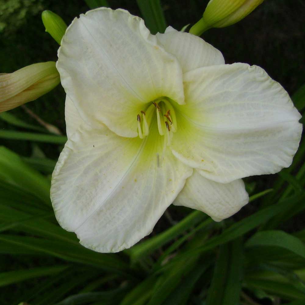 2228d9c0cac206438189a6215ee9f915