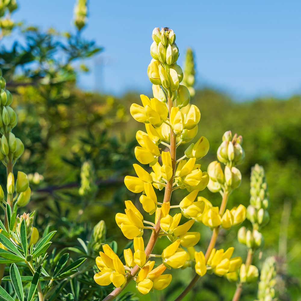 f614702db31f358b03c78d5ca3923e58