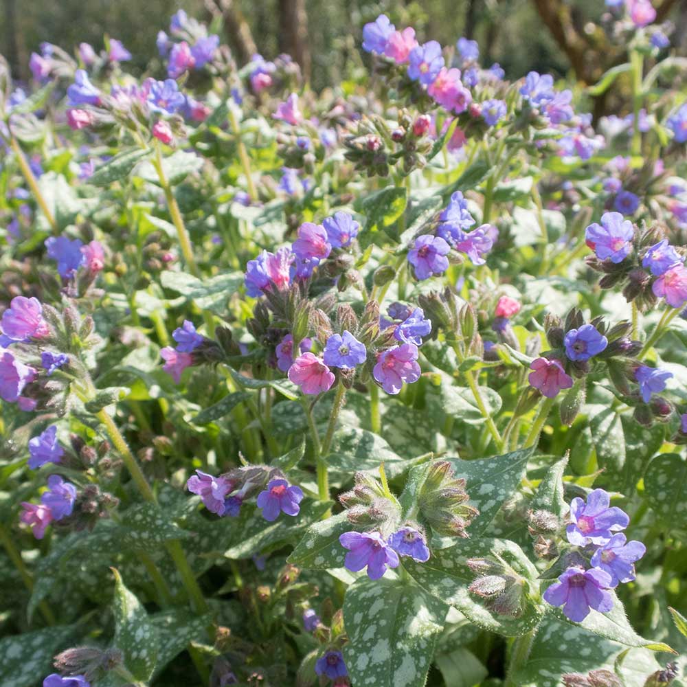 7edd24f429d6fa80e2cb3655a36bc13d