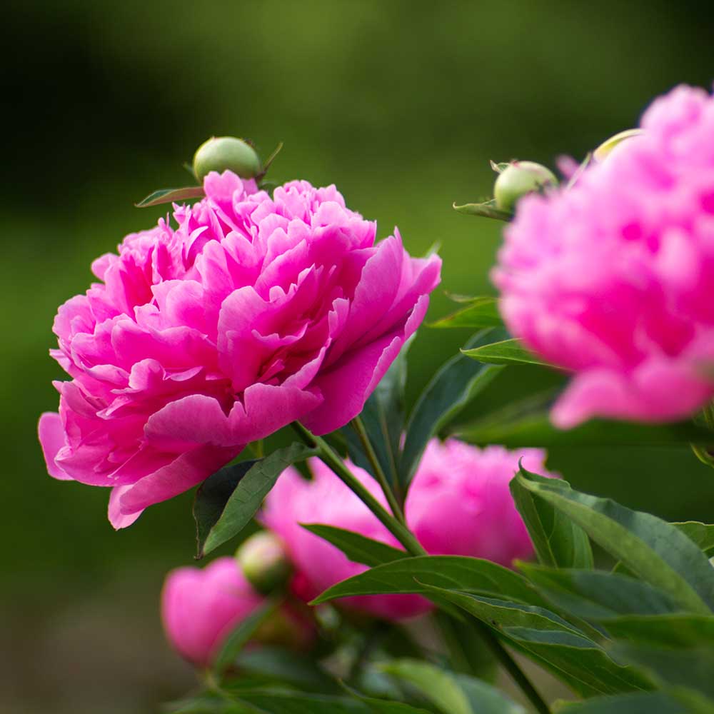 6e2ddf705a09ba56ed25737b27ec76e6