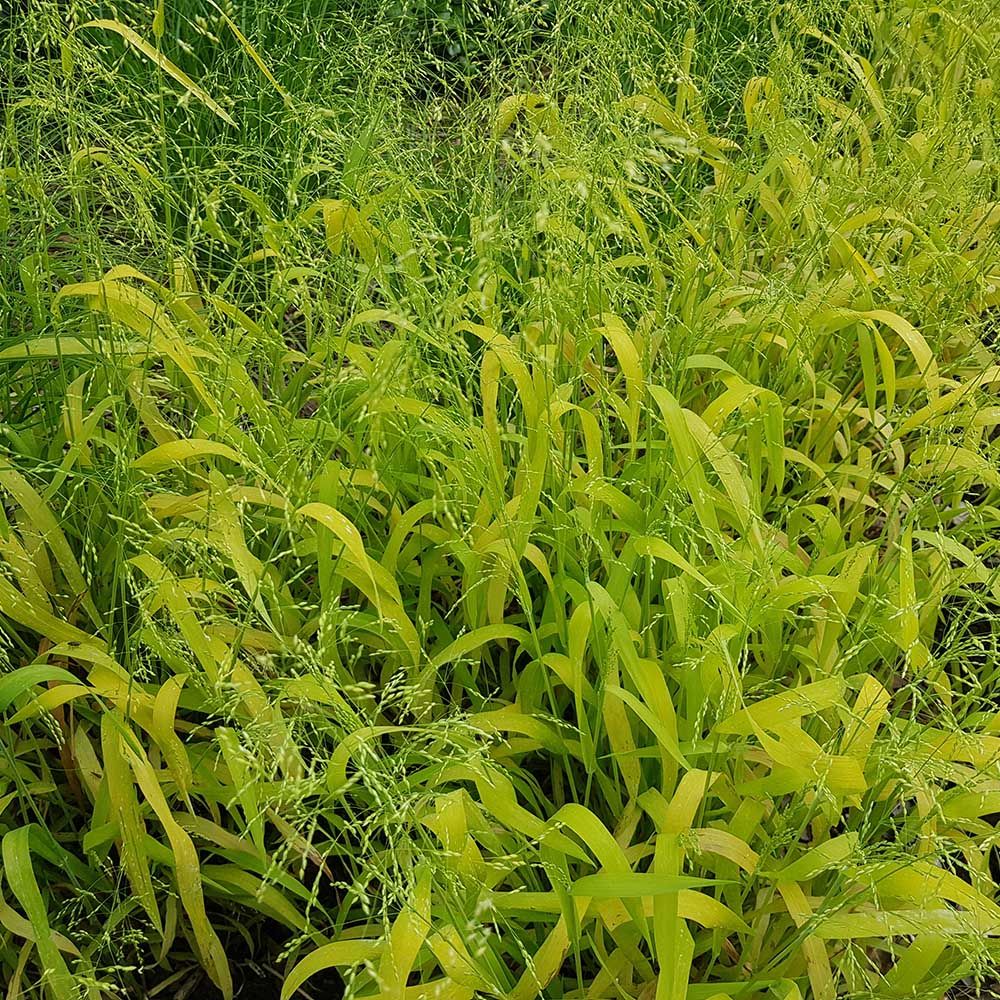 4c8ae04fe3e1e725a609d3783a7d6252