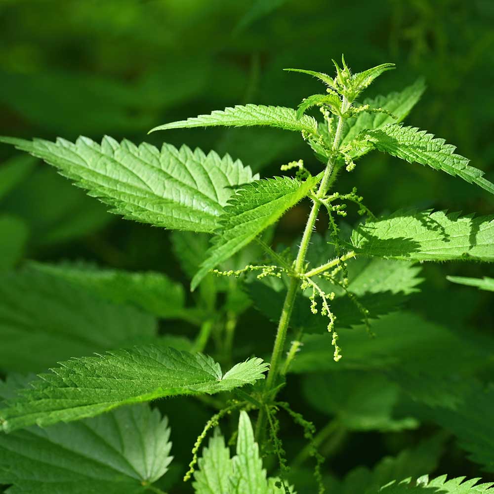 b1598d66422cdb5c034ca9efe7d86a84