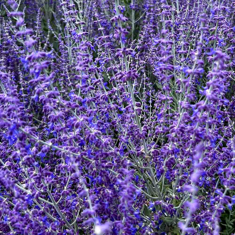 643cc02edbb9e995f528ef9374835cb7