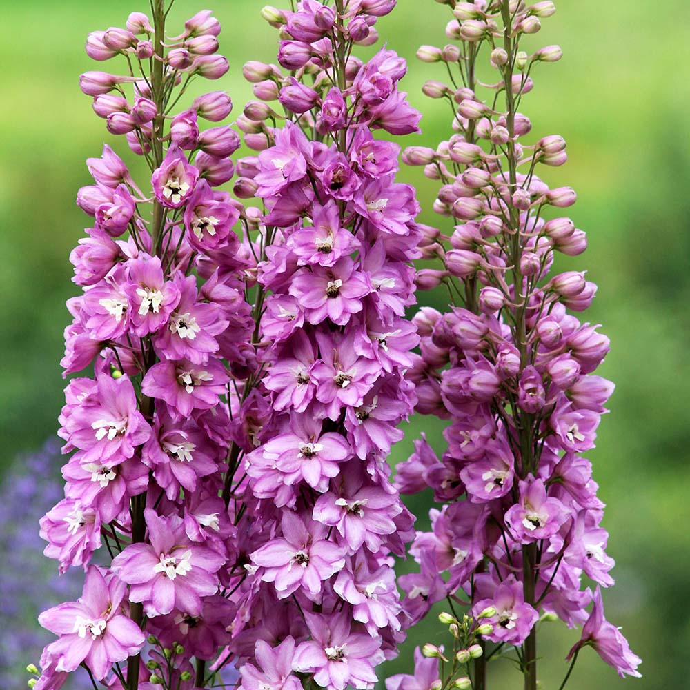 6d7922052e1c95483517d7914714db5b