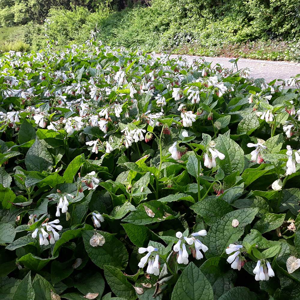 42e44af8de42ef3200ad91ae8ae79f4d