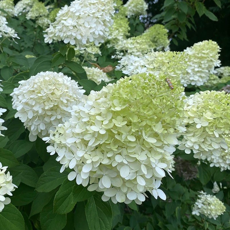 3943e45e08145c74ea754519a3e5d8f0