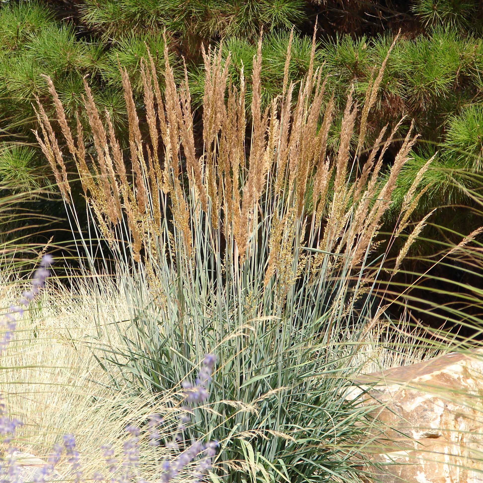 675b0fee5fcd4588eb0930940fea48fa