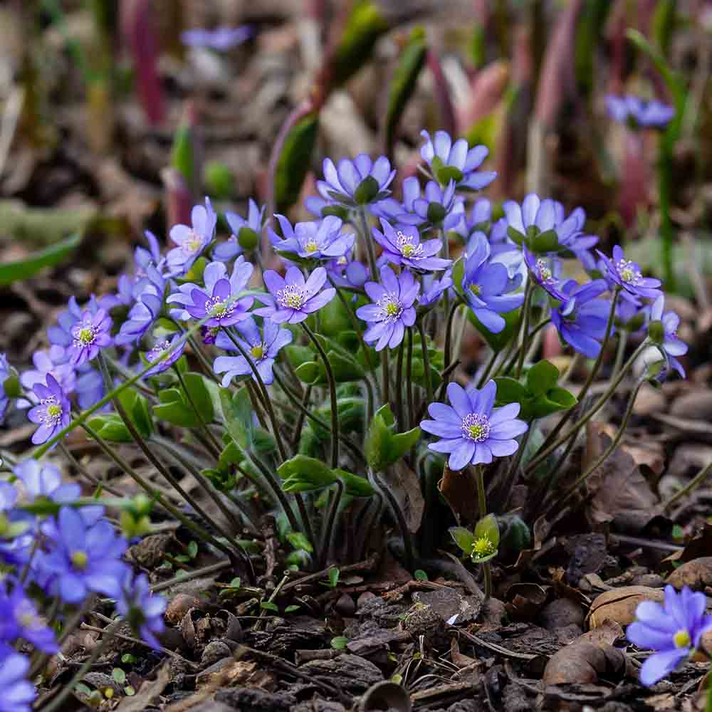 e094b88f4a55e310fa634d8870a8b1e7