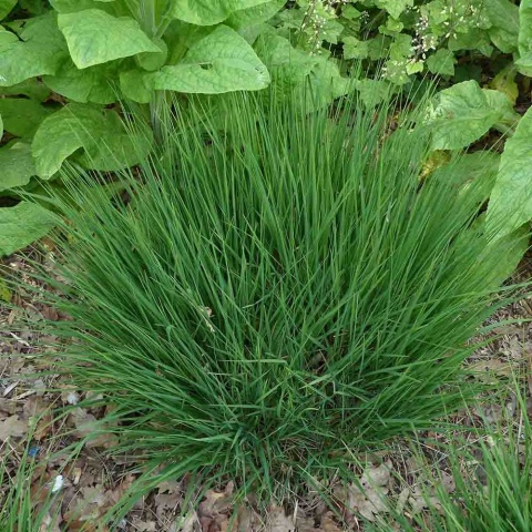 9239f4d7e2ff9db21b73423dfea29824