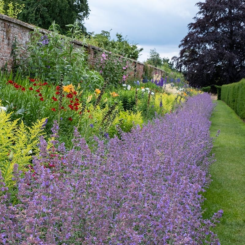 d3a3e09cbf5dcdcc6ed6961f45e01448