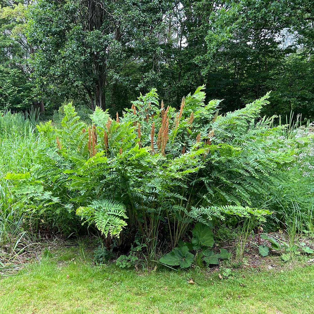 eeeb09971a1e816b5cef706bded27228