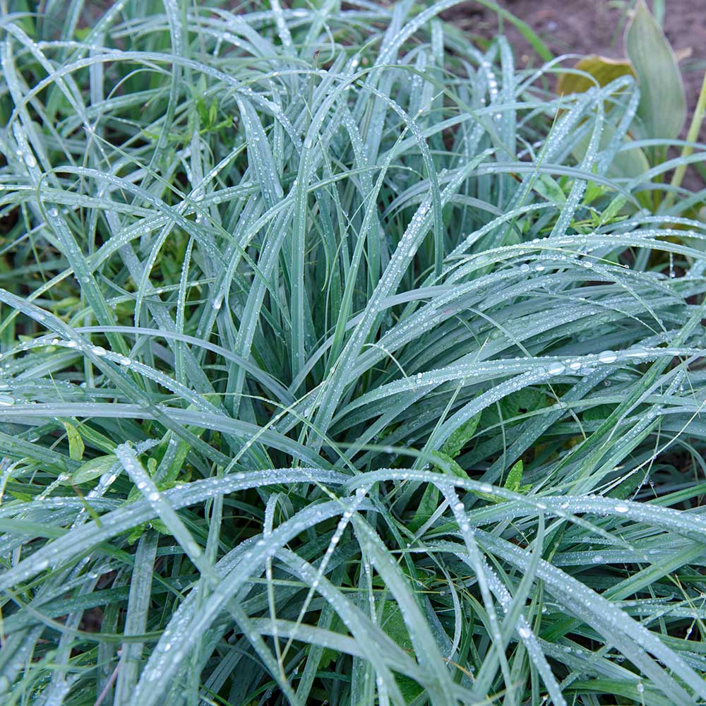 fd2e36cd607d3979e2121ca98c4f2e85