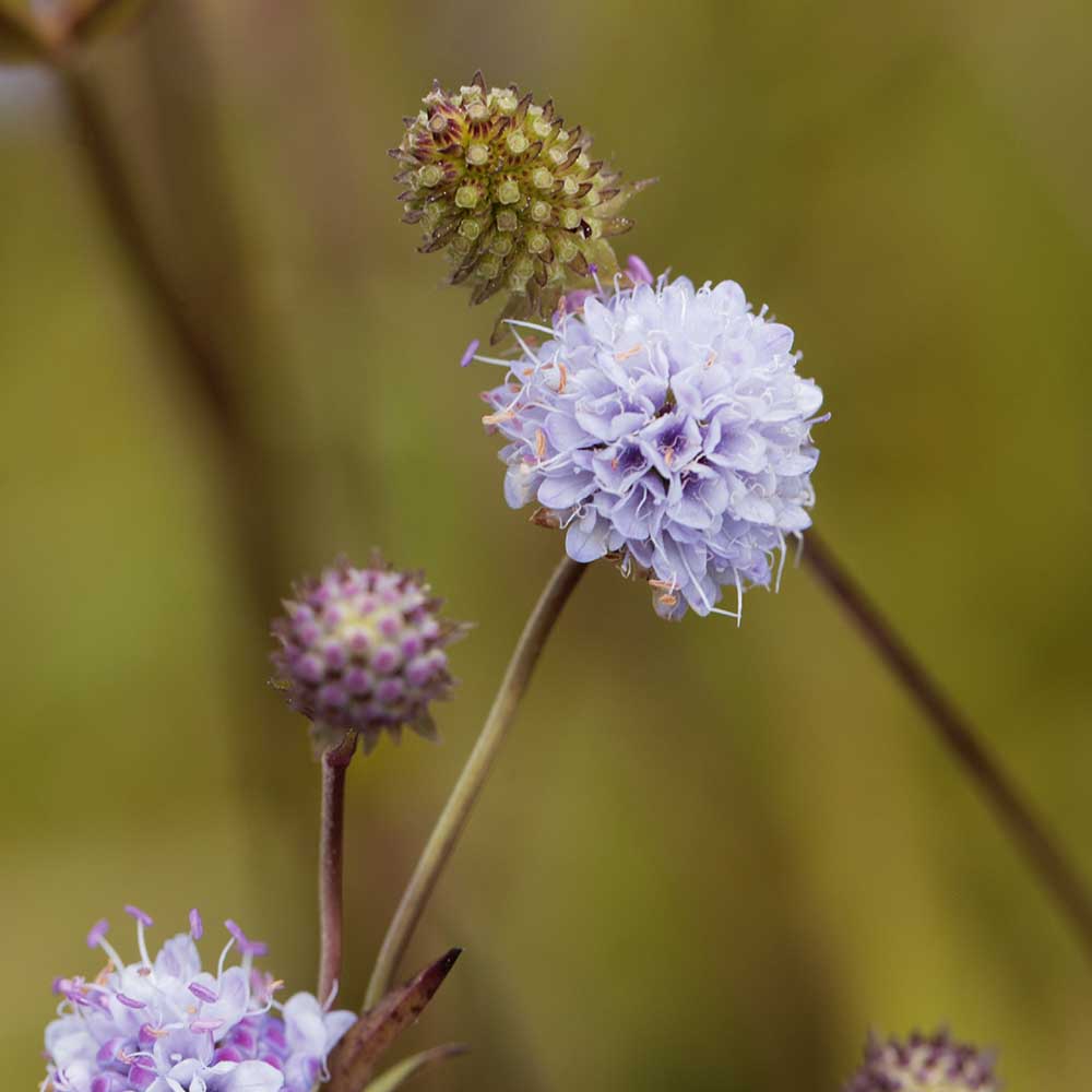 5a9360d71faf7570569dcfbed48b457b