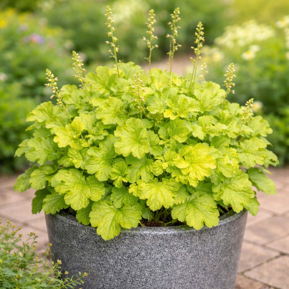 46045350df15e1720b8045b78c13bce0