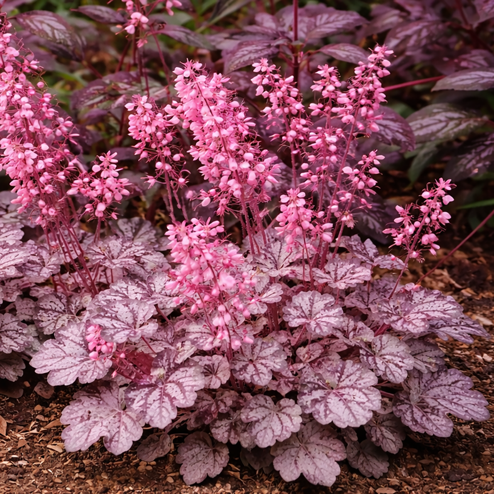 d22bf858d02fc2a4f46693cf901371a2