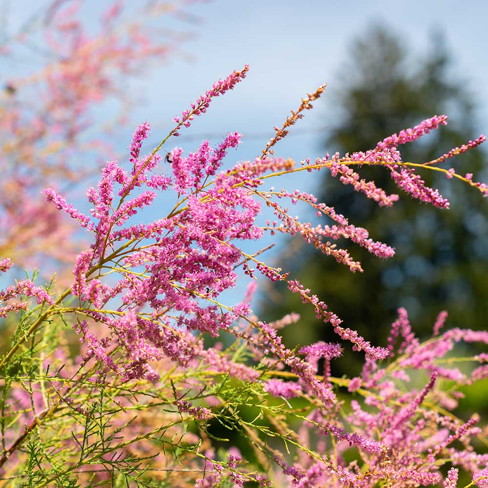 457aa59595cdd5a2712f9ab8be679745