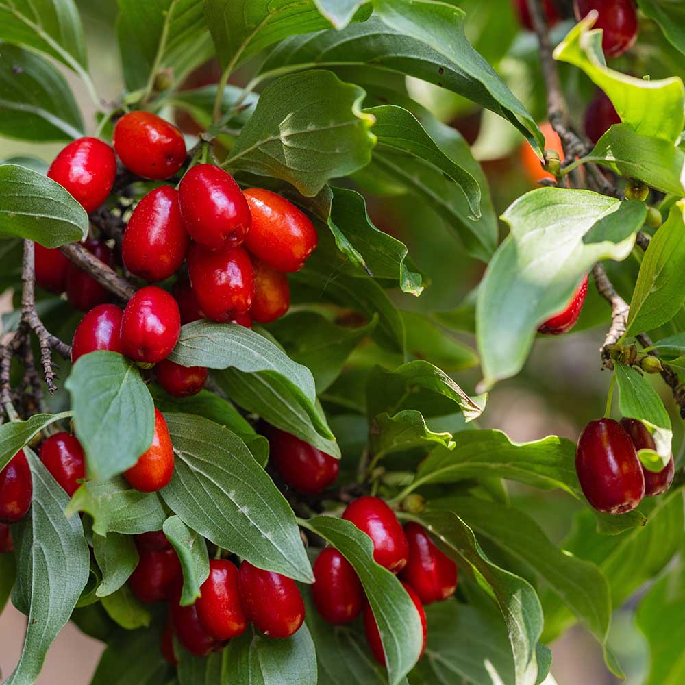 336f24c9882be0a31647223ea27f8695