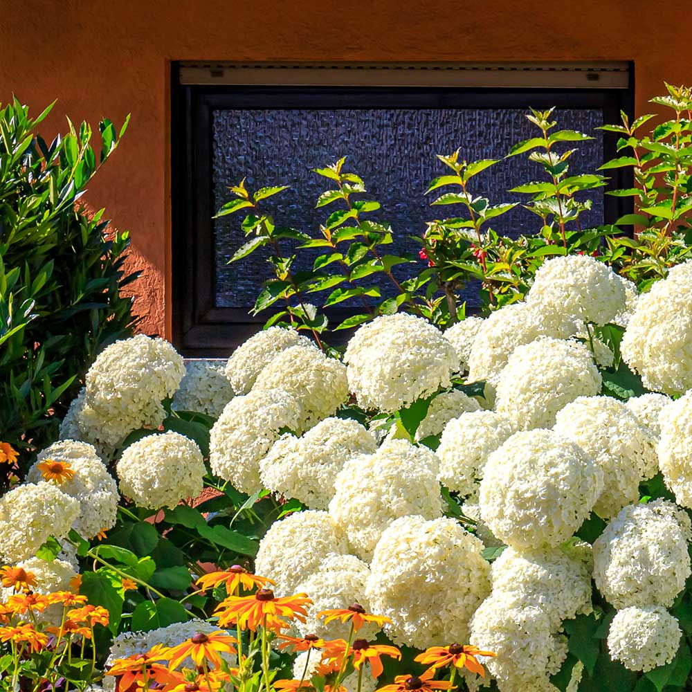 5f33ddb35dea651ba319511a626a7b38