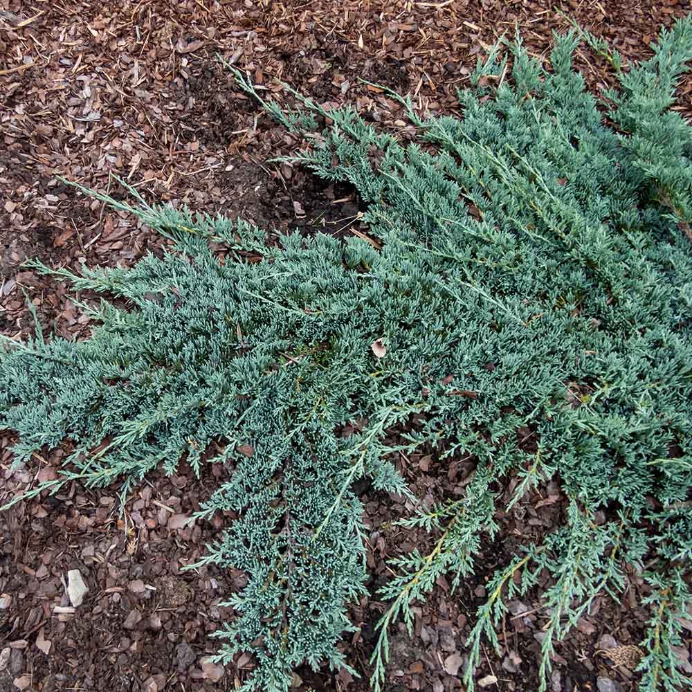 bb51c74e16f00a087414945f8a09c177