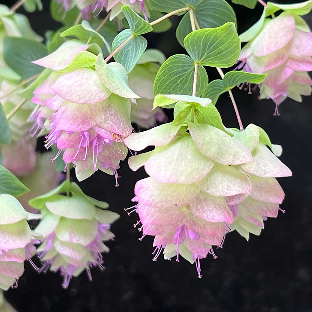 400f78fe52180d71de6a0ca091151fa1