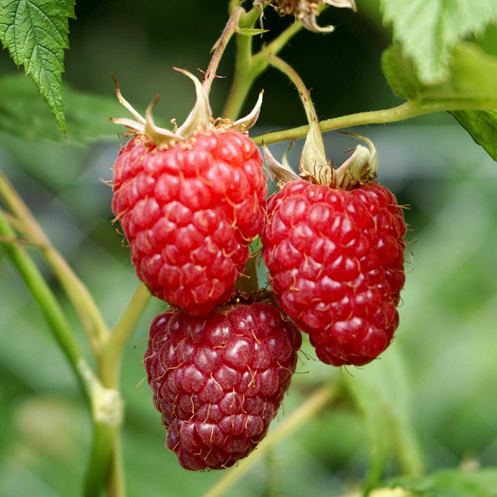 fbe03e64d8b0b3ebf67cbd8197e96b87