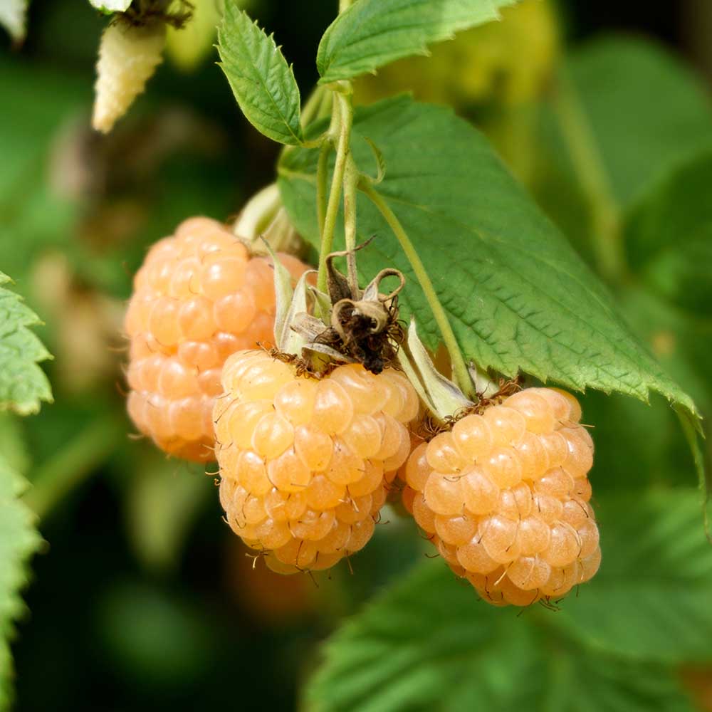 e6bd8580d116f918449e5108a703b7b1