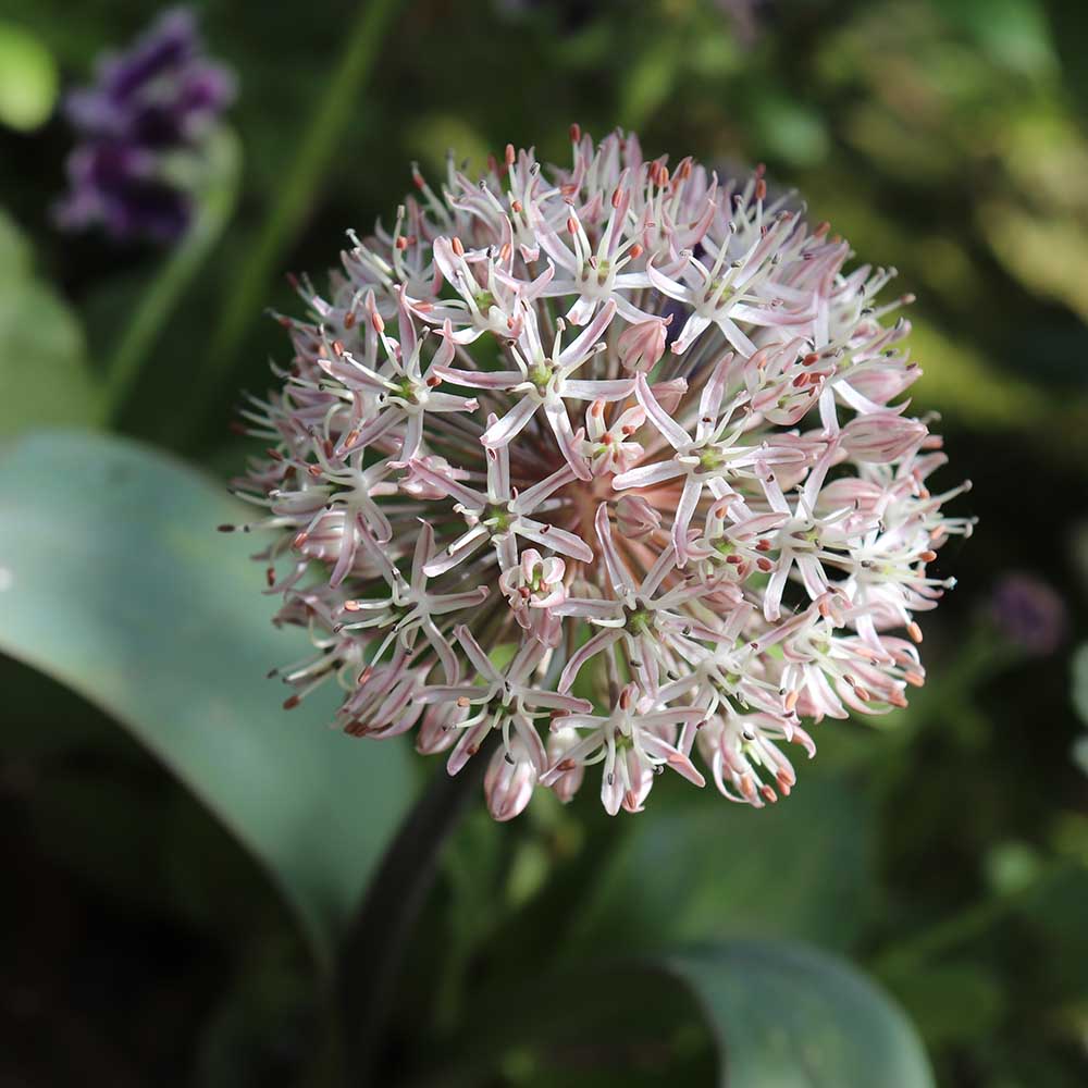 264e52eb2f29d4fc400e27586d7c4cac