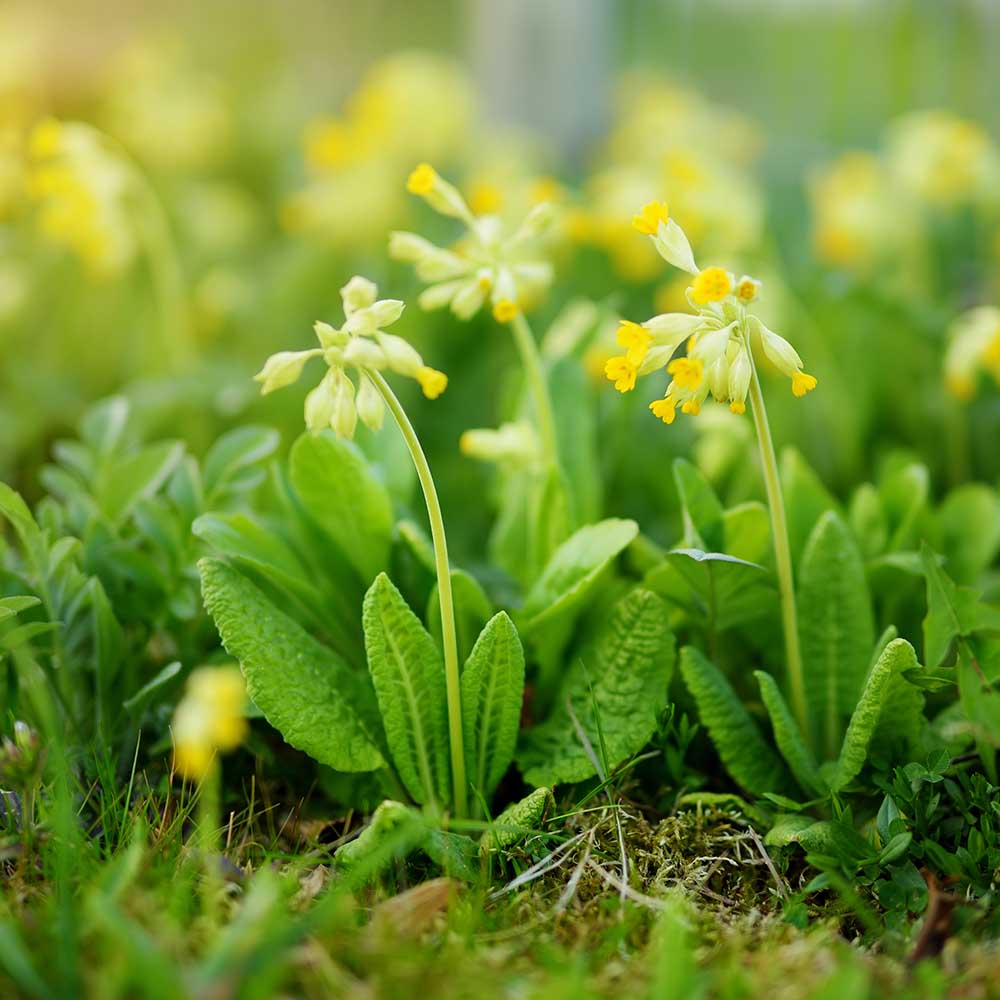 3279cbfe93d46b9f8aca0cedb8484c32