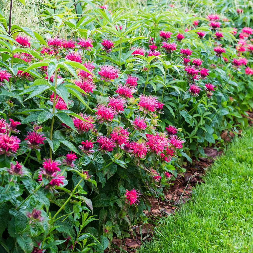 616e96006eb7d74325bbedbf4d13c10a