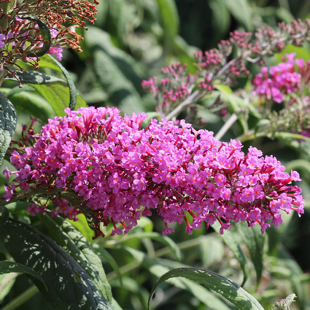 736323540bfd82df2c540840b43b1846