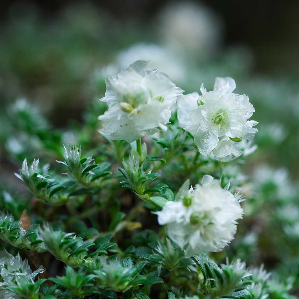 98946644576f81a5bda68fbce1c0c30b