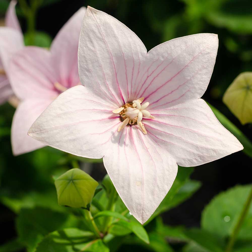 887df1b78d71d6a8530aff32d40153ef