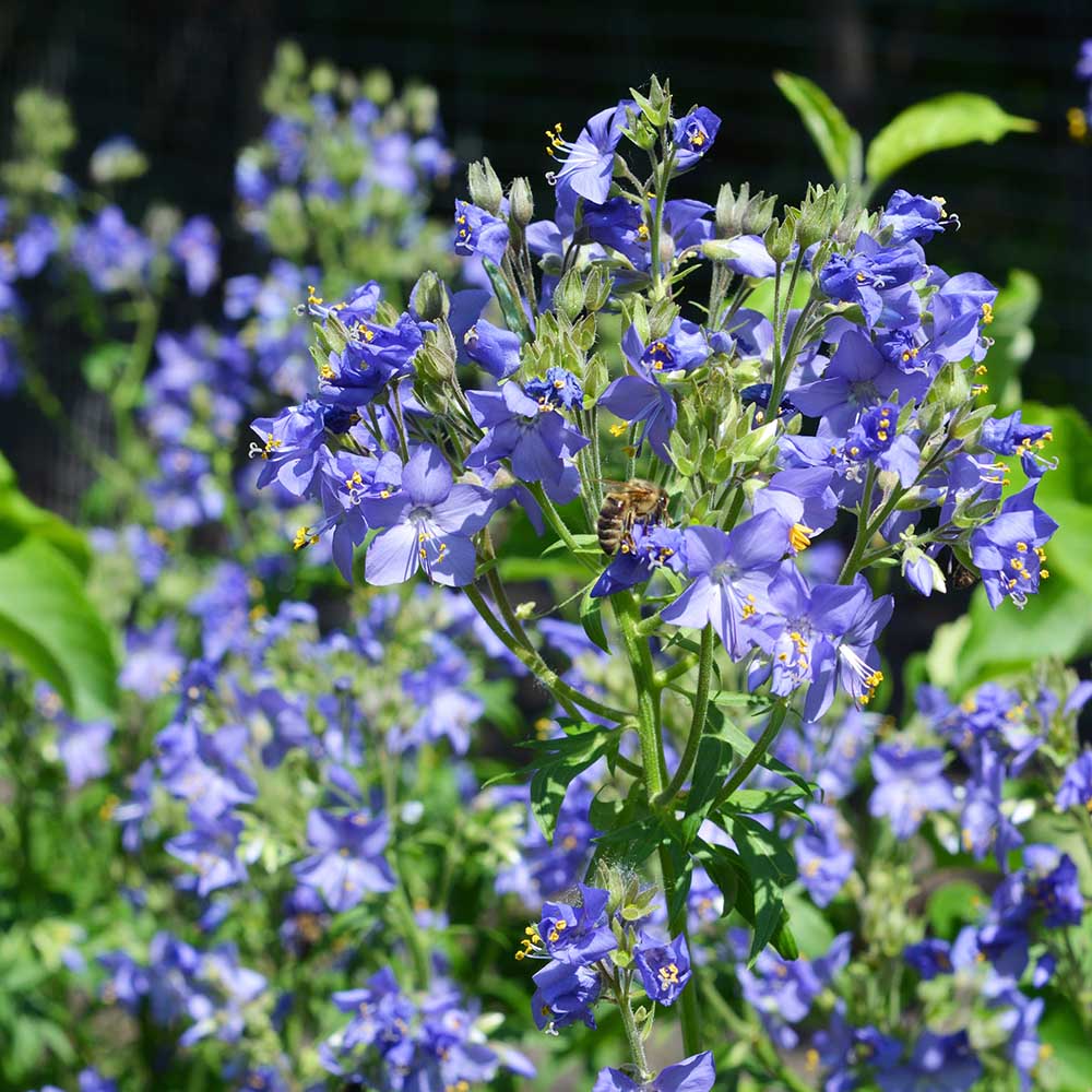 dc318ae2f083b2c50a50bf0be949a209