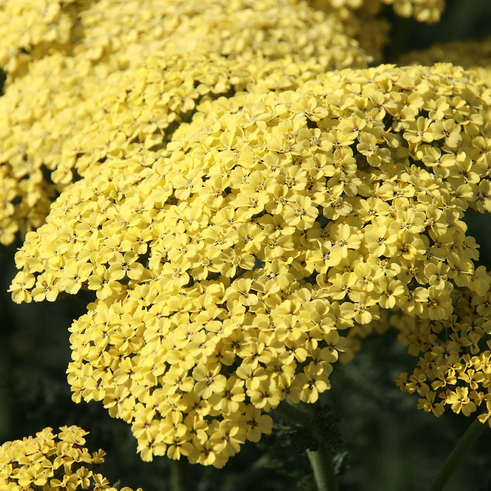 3b26011bfcf4fe3b3e81082d93cb7e2f