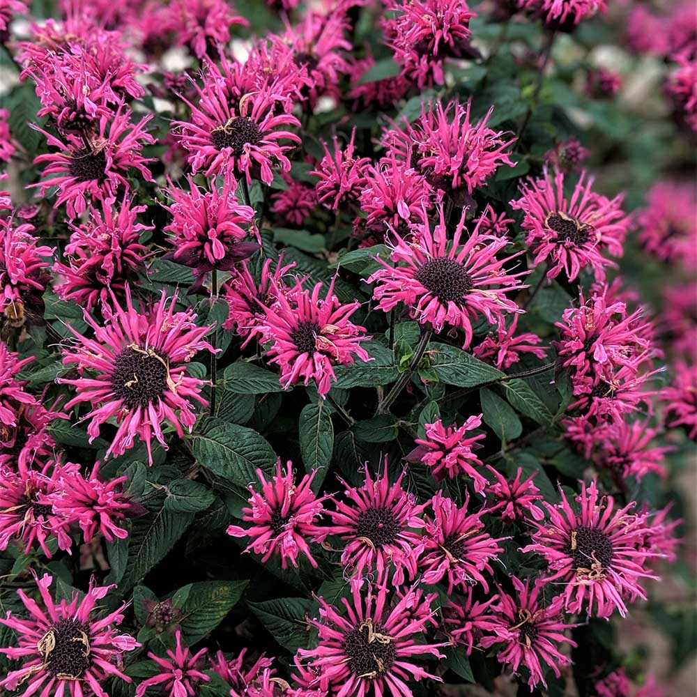 9e739f8323d02463934ffcda0492a14c